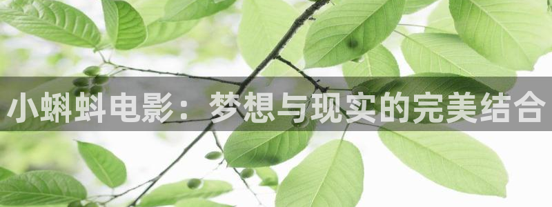 神马电影我不卡在线看：小蝌蚪电影：梦想与现实的完美结合
