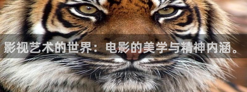 不卡国产在线视频：影视艺术的世界：电影的美学与精神内涵。