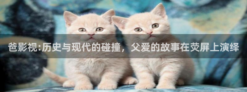 新神马影院不卡伦：爸影视:历史与现代的碰撞，父爱的故事在荧屏上演绎