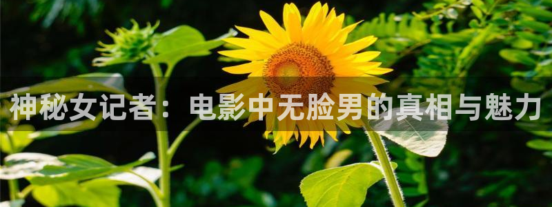 久久高清不卡：神秘女记者：电影中无脸男的真相与魅力