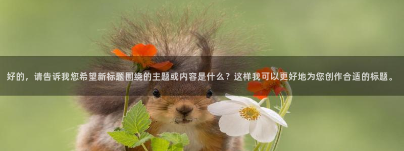 日本高清不卡视频在线观看：好的，请告诉我您希望新标题围绕的主题或内容是什么？这样我可以更好地为您创作合适的标题。