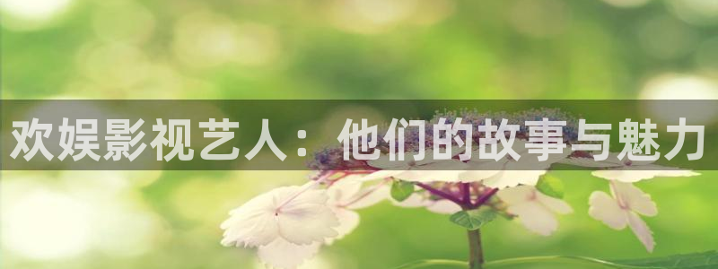 一本高清不卡一二三区：欢娱影视艺人：他们的故事与魅力