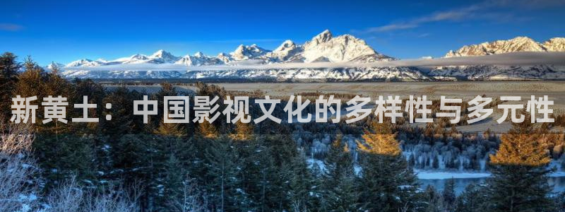 国产av不卡影片：新黄土：中国影视文化的多样性与多元性