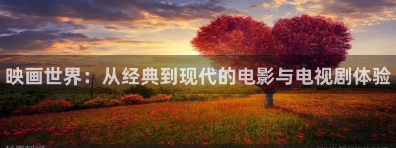 我不卡在线观看影院：映画世界：从经典到现代的电影与电视剧体验