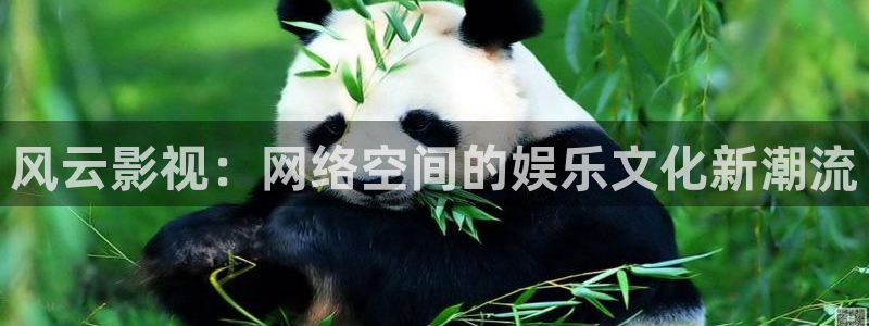 亚洲高清不卡：风云影视：网络空间的娱乐文化新潮流